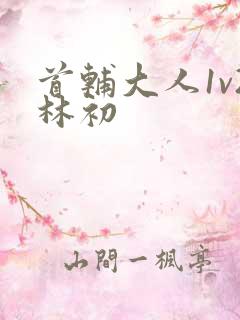 首辅大人1v2林初