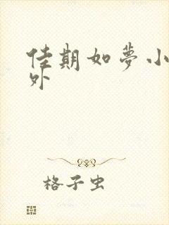 佳期如梦小说番外