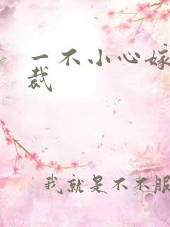 一不小心嫁给总裁