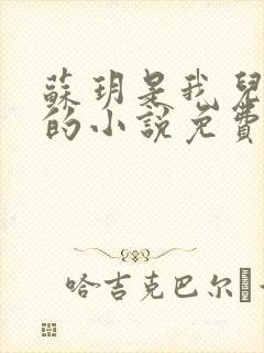 苏玥是我儿媳妇的小说免费阅读