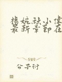 杨婉秋小伟小说最新章节在线阅读