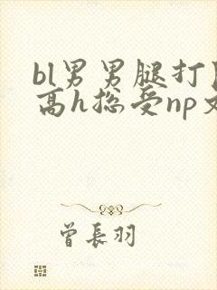 bl男男腿打开高h总受np文