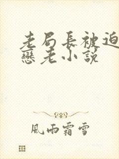 老局长被迫为奴恋老小说