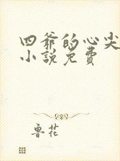 四爷的心尖宠妃小说免费