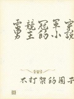 电竞冠军穿越双男主的小说