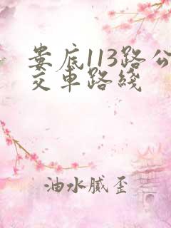 娄底113路公交车路线