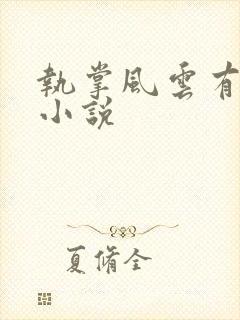 执掌风云有声听小说