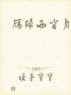 雁归西窗月小说