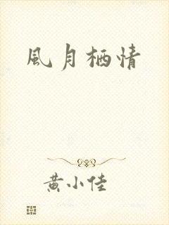 风月栖情