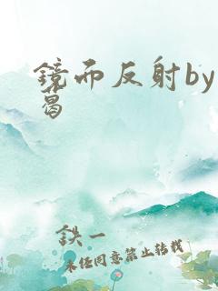 镜面反射by九葛