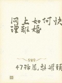 网上如何快速办理离婚