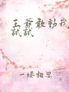 王爷敢动我妈咪试试