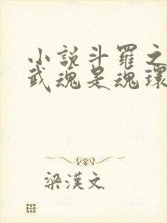 小说斗罗之我的武魂是魂环下载