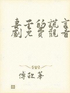 妻子的谎言电视剧免费观看