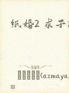 纸婚2 求子记