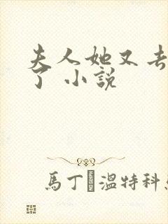 夫人她又去虐渣了 小说