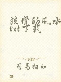 狡猾的风水相师txt下载