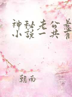 神秘老公惹不起小说一共有多少章节