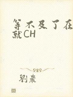 等不及了在车里就CH