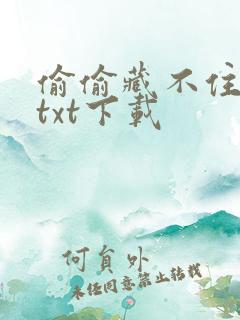 偷偷藏不住小说txt下载