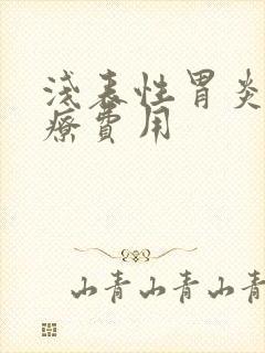 浅表性胃炎的治疗费用