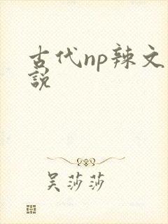 古代np辣文小说