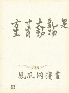 方寸大乱是什么生肖动物