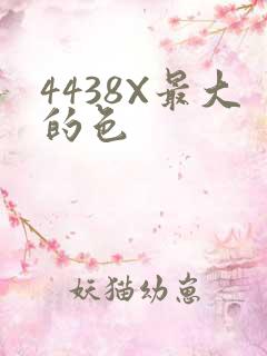 4438X最大的色