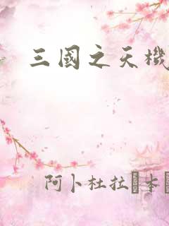三国之天机军师