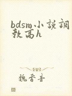 bdsm小说调教高h