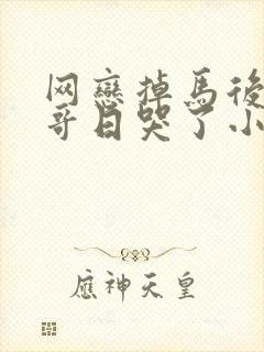 网恋掉马后被哥哥日哭了小说