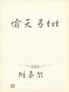 偷天弓txt