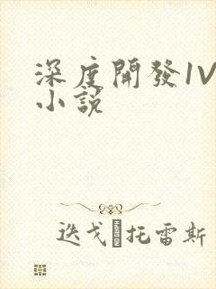 深度开发1V3小说