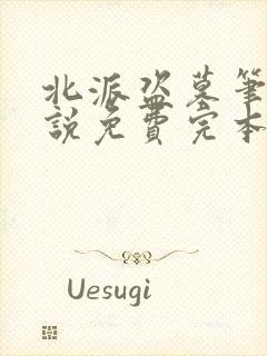 北派盗墓笔记小说免费完本