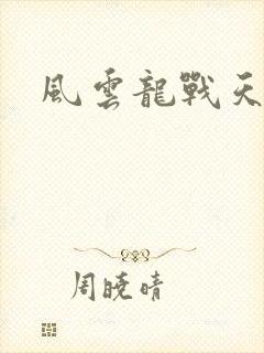 风云龙战天下