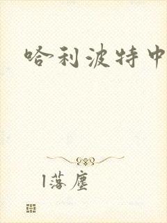 哈利波特中文版