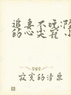 追妻不晚:陆少的心尖宠 小说