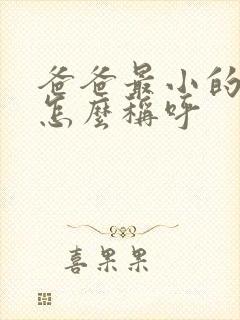 爸爸最小的弟弟怎么称呼