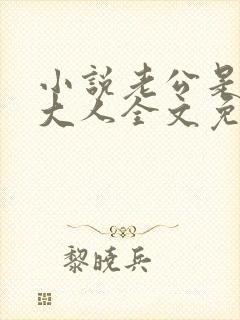 小说老公是腹黑大人全文免费阅读