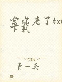 当你老了txt下载