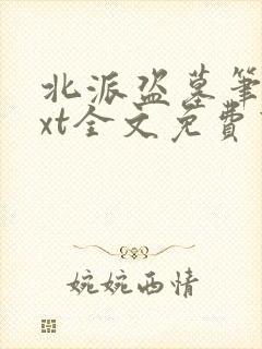 北派盗墓笔记txt全文免费下载