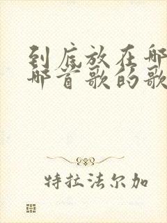 到底放在哪里是哪首歌的歌词