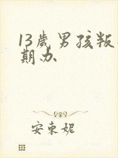 13岁男孩叛逆期办