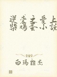 逆袭之爱上情敌柴鸡蛋小说最新篇章