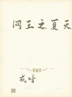 网王之夏天