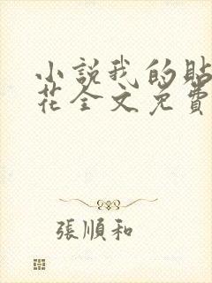 小说我的贴身校花全文免费看