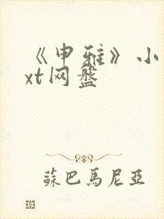 《申雅》小说txt网盘