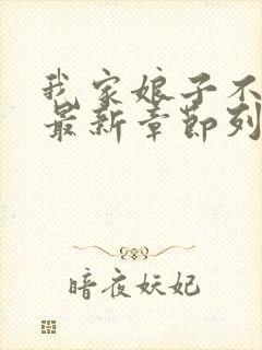 我家娘子不对劲最新章节列表