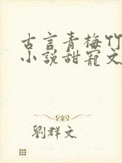 古言青梅竹马的小说甜宠文