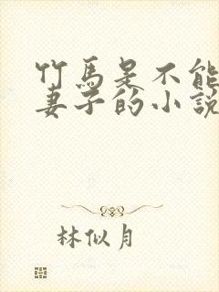 竹马是不能成为妻子的小说